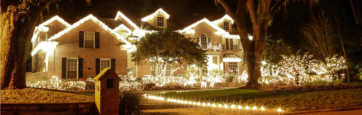 The Christmas Light Store - Residential